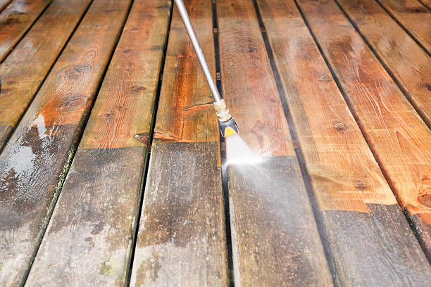 Animal Enclosure Cleaning in Terra Bella, CA